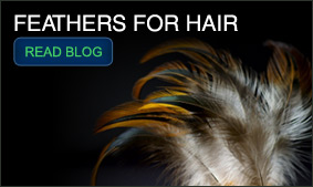 Feathers For Hair